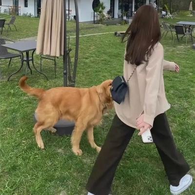 征服者